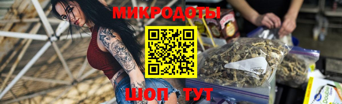 Мурманск  Псилоцибиновые грибы ЛСД  Псилоцибиновые грибы Psilocybine cubensis  Вход с VPN 